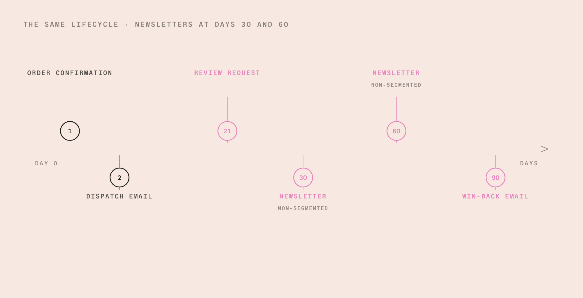 The same email lifecycle timeline with non-segmented newsletters added at days 30 and 60.
