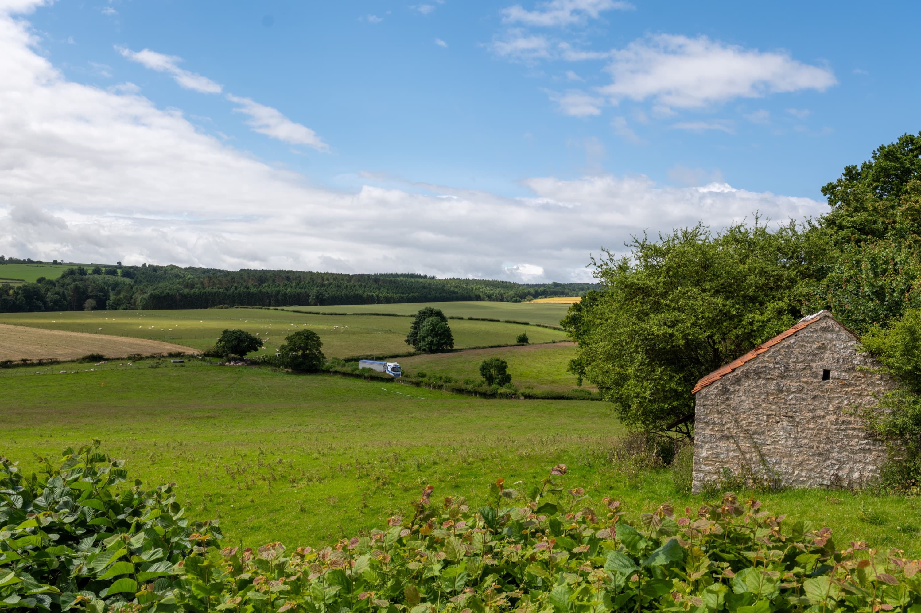 Rolling fields in strips of green and gold under blue sky, with a stone barn in the near corner and a lorry passing on a lane below